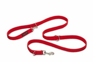 Laisse Halti rouge