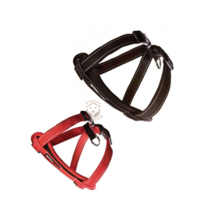 Ezydog® Harnais Chest Plate à plastron