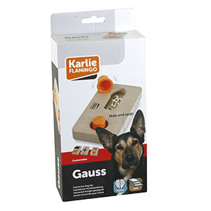 jeu d'intelligence module Gauss