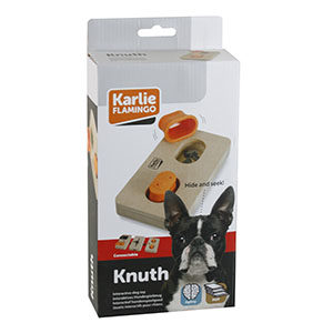 jeu d'intelligence module Knuth