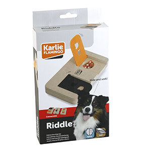jeu d'intelligence module Riddle