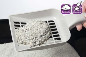 Litière agglomérante Baby powder scent Valcreuse boutique
