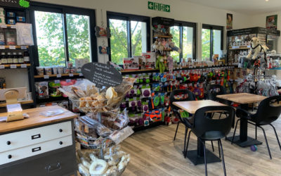 Naissance du magasin