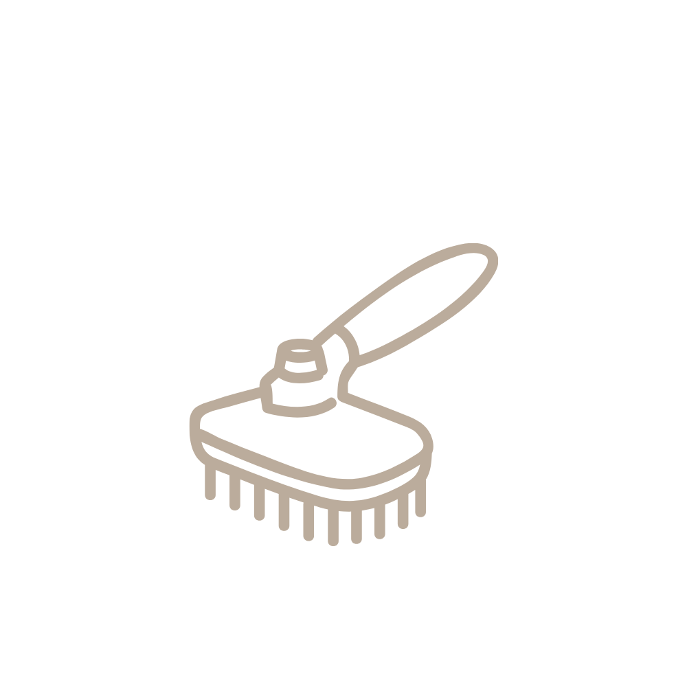 brosses et peignes