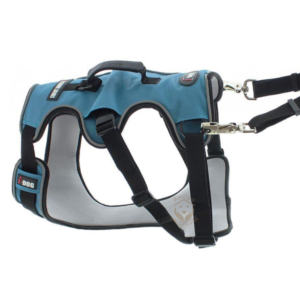 Harnais Confort I-Dog® bleu