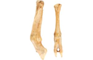 Pieds d'agneau séchés