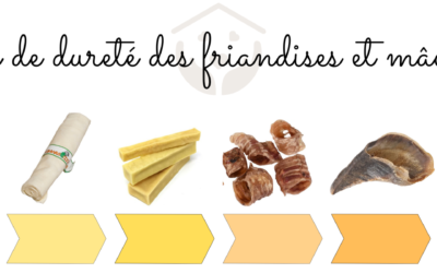 Les os et autres produits à ronger