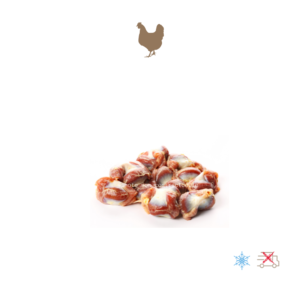 gésier de poulet pour BARF